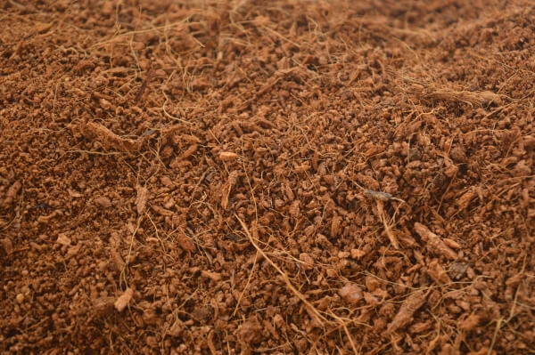 Coco coir