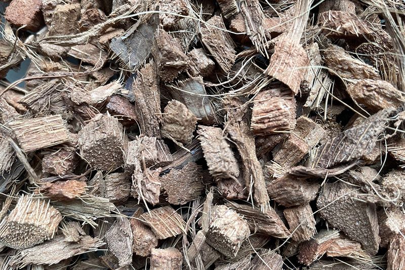 coco chips